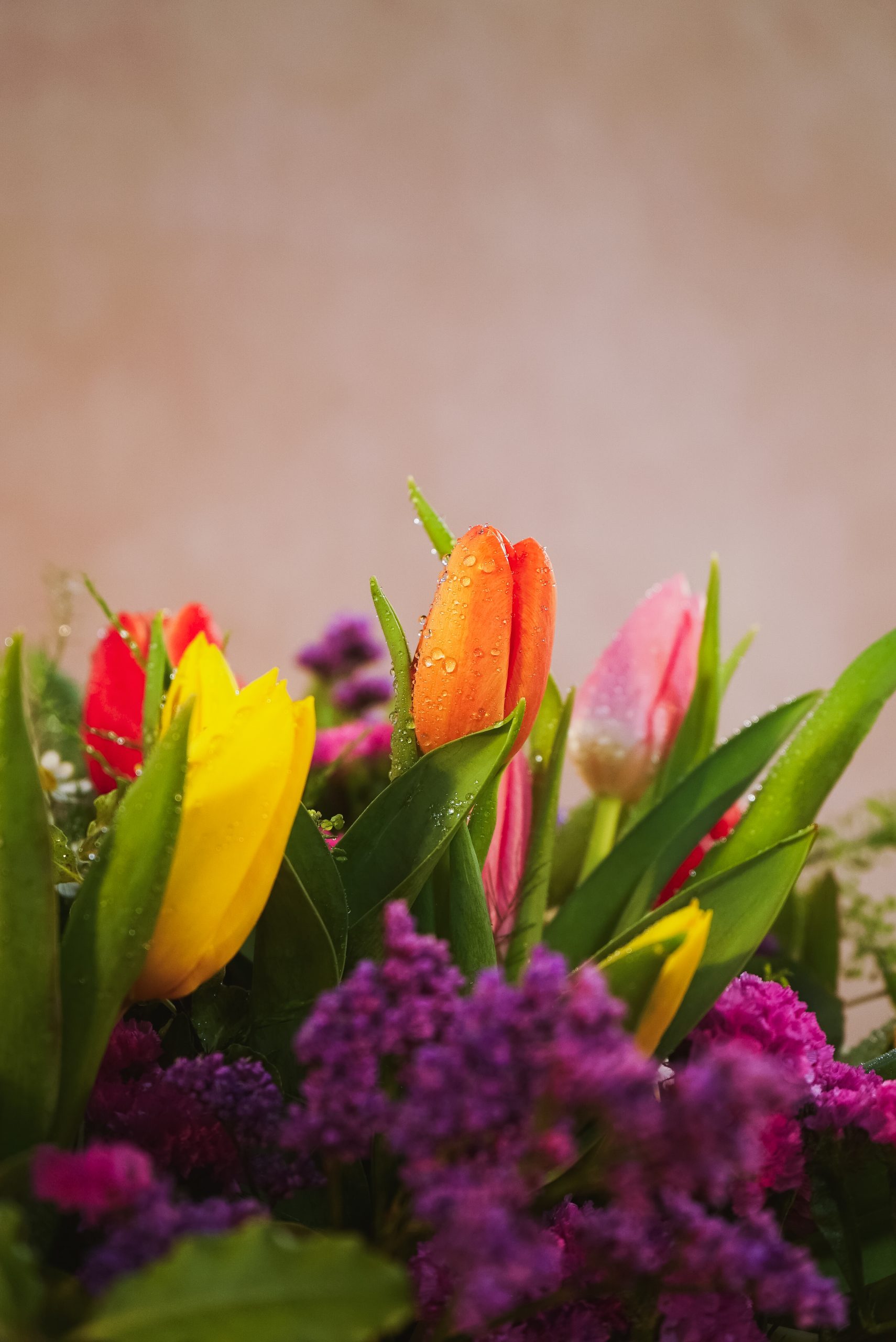 Ramo de 50 Tulipanes - Imagen 5